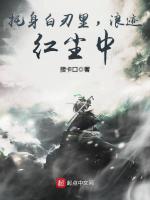 小说《托身白刃里浪迹红尘中txt》封面