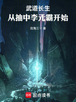 小说《武道独尊李元霸》封面