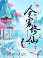 小说《全家修仙的小说》封面