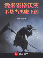 小说《我来霍格沃茨不是当黑魔王的原名叫什么》封面