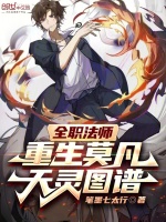 小说《重生之全职法师莫凡》封面