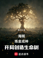 小说《海贼:海贼中的炼金术士》封面