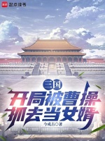 小说《三国开局被曹操抓去当女婿的小说》封面