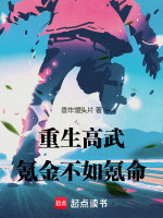 小说《氪金高武》封面