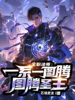 小说《全职法师图腾兽是什么》封面