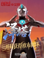 小说《开局穿越泽塔奥特曼》封面