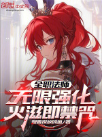 小说《全职法师火系全部技能表》封面