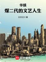 小说《华娱年代》封面