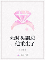 小说《死对头重生后我弯了免费阅读》封面