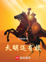 小说《大明还有后人吗》封面
