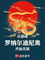 小说《fm罗纳尔迪尼奥巅峰属性》封面