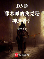 小说《邪术师子职业》封面