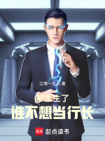 小说《重生似水流年》封面