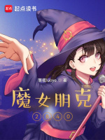 小说《朋克小魔女》封面