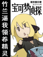 小说《宝可梦侦探》封面