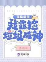 小说《海岛求生的视频》封面